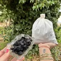 Çekirdekli Kuru Üzüm Antep Karası - 1